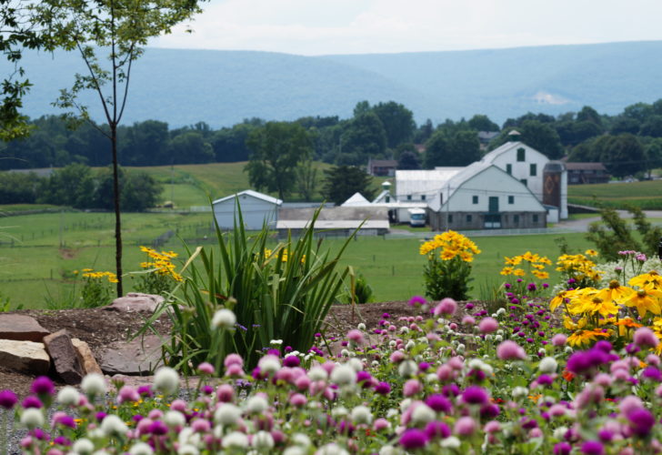 Garden Fest celebrates hobby, offers tips to enthusiasts